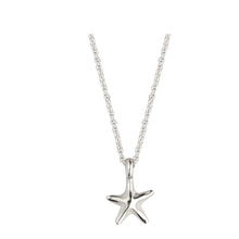  Starfish Necklace