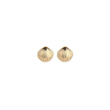  Seashell Earrings